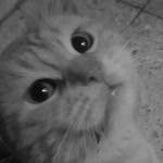 Beyza