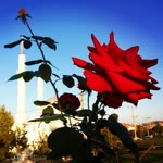 Fatma