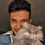 Beşer