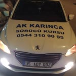Ak Karınca