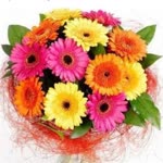 Derya