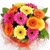 Derya