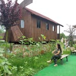 Havva