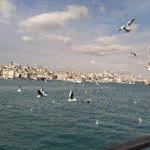 Seyfi