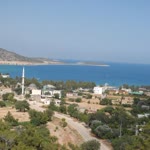 Halil