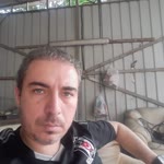 Aykut