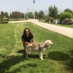 Pınar