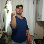 Tolga