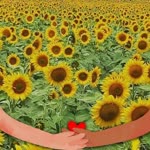 Hatice