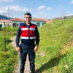 Doğan