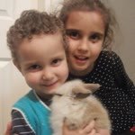 Elif