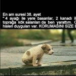 Serkan