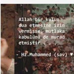 Ayfer