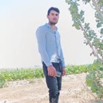 Alisan