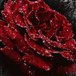 Meryem