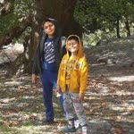Aysel