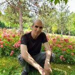 Mahmut