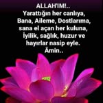 Profil fotoğrafı