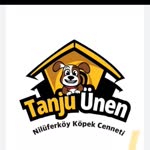Tanju
