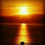 Halil
