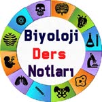 Biyoloji