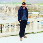 Ziya