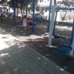 Sibel
