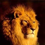 Serkan