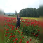 Dilara