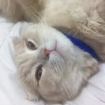 Zeynep