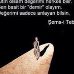 Seda