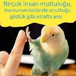 Şükrü