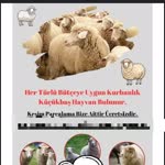 Profil fotoğrafı