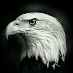 Alpaslan