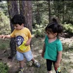 Tekin