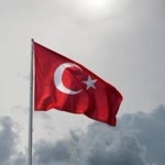 Neşe