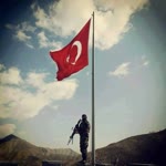Taha