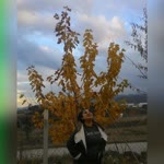 Dilan