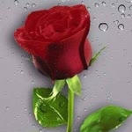 Canan