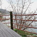 Yüksel