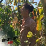 Ahmet