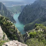 Necla