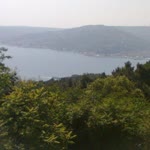 Sevim