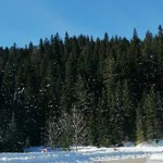 Gülden