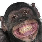 Umut