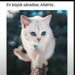 Hüseyin