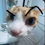 Yagmur