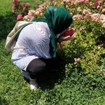 Şennur