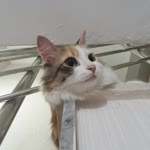 Esra