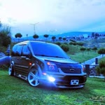 Caner